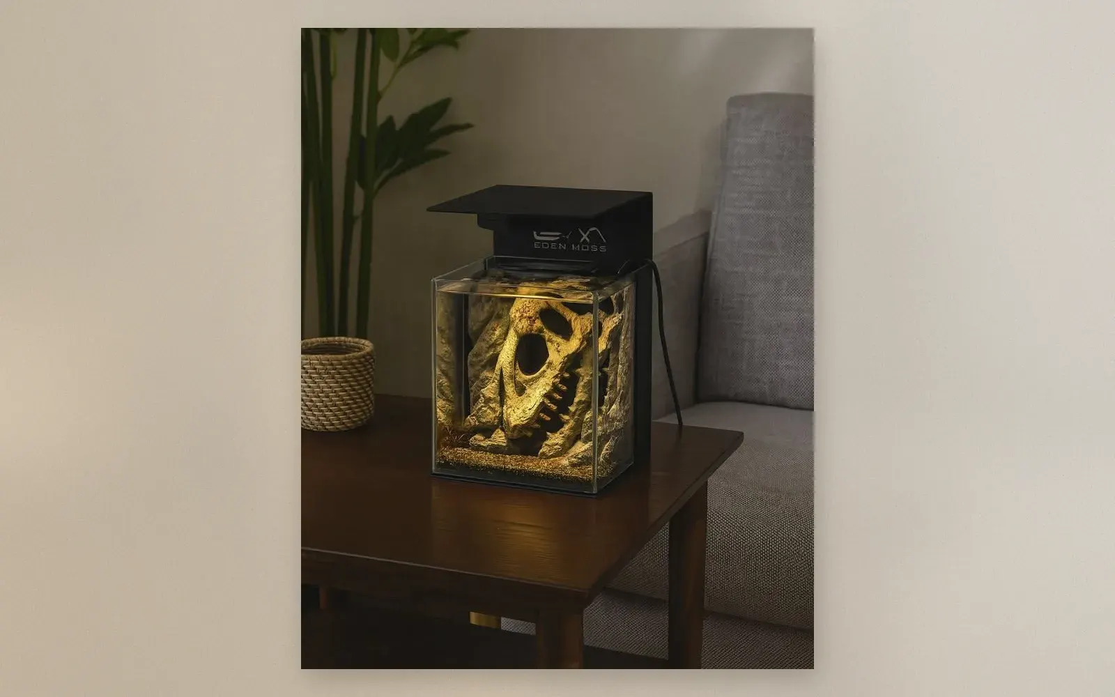 Eden Moss nano aquarium with black LED hood on a dark wooden side table in a living room