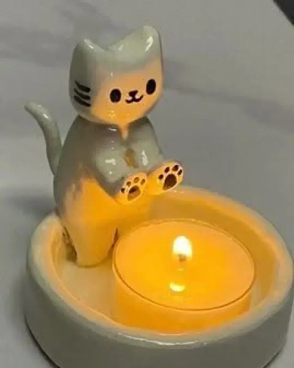 Close-up of the pink paw pads glowing in candlelight