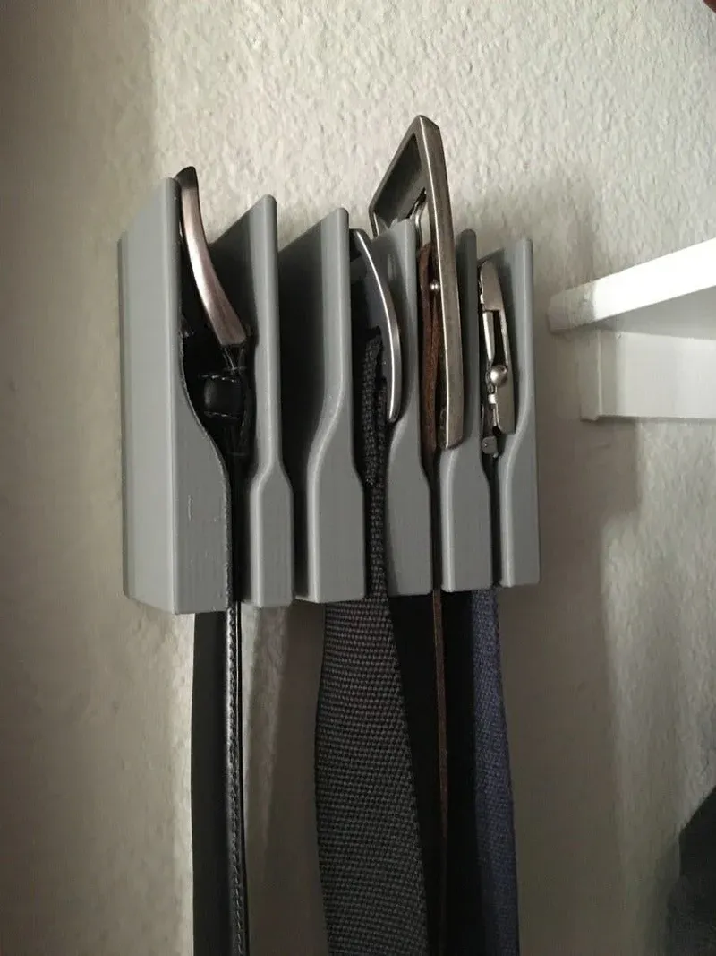 Wall-mount belt hanger organizer mounted on white wall with belts hanging down