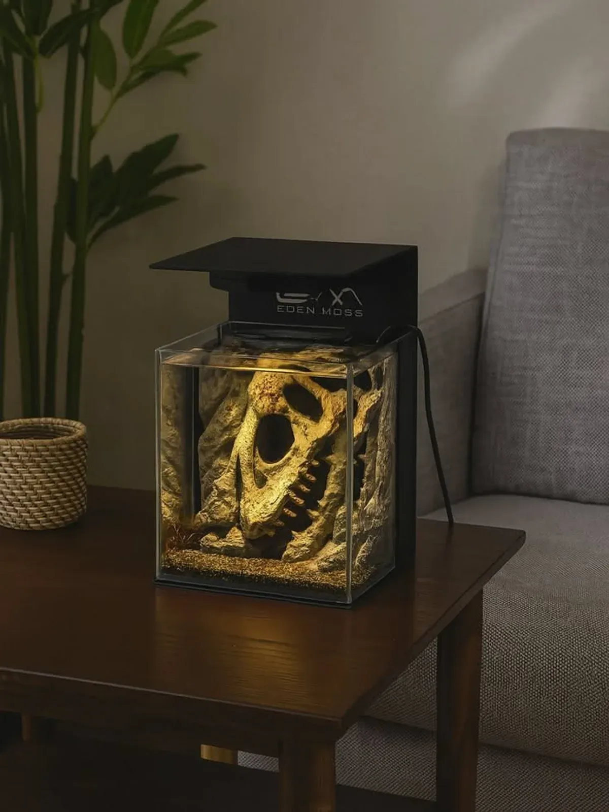 Eden Moss nano aquarium cube with warm LED lighting on a dark wooden table